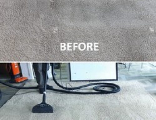 Hire Professional Cleaning and Renew the Color of your Carpets