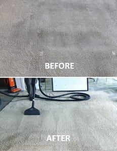 Hire Professional Cleaning and Renew the Color of your Carpets