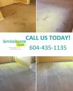 carpet cleaning banner